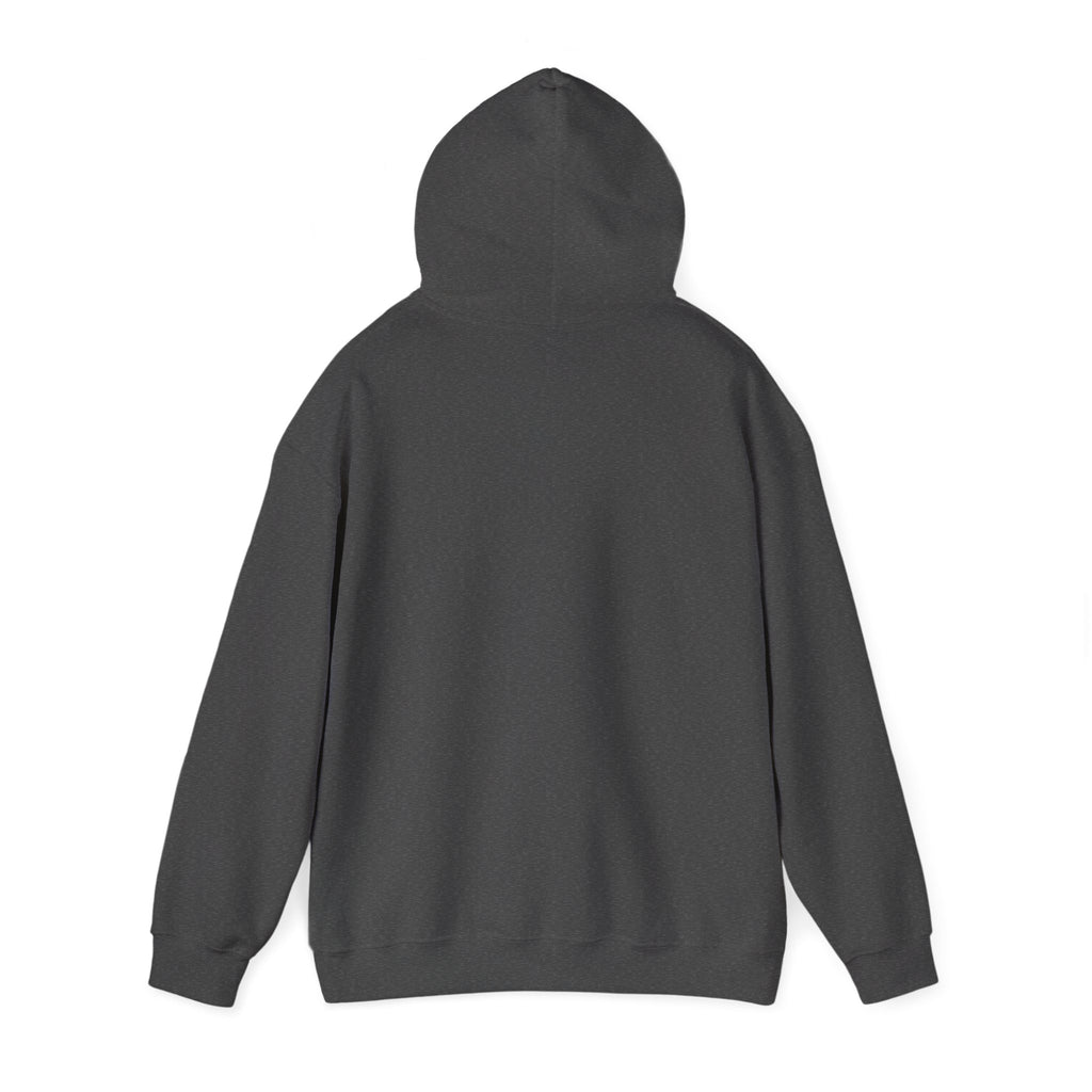 Cat Sorcerer Hoodie — Mystic Cosmic Witch Cat Holding Orb Sweatshirt