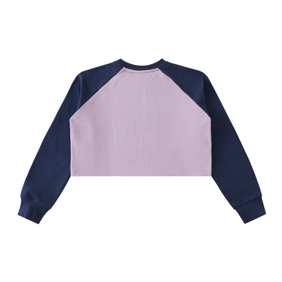 Bee Happy Raw-Hem Color-Block Raglan Crop Sweatshirt
