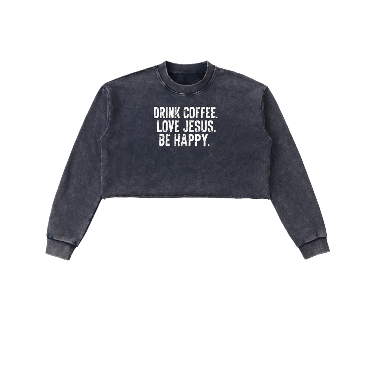 Snow Washed Raw Edge Cropped Sweatshirt